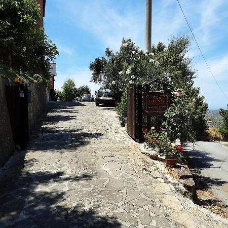 Cilento Bed & Breakfast San Mauro Cilento Eksteriør bilde