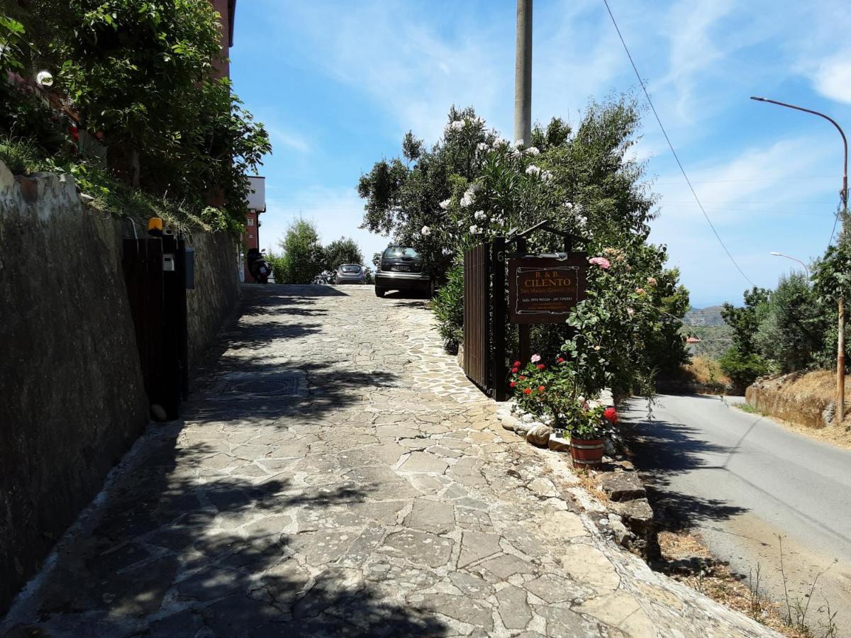 Cilento Bed & Breakfast San Mauro Cilento Eksteriør bilde