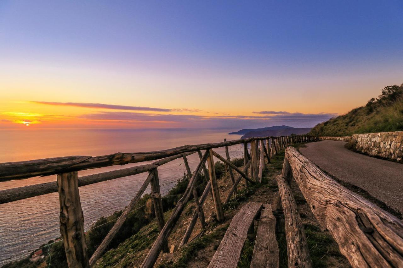 Cilento Bed & Breakfast San Mauro Cilento Eksteriør bilde