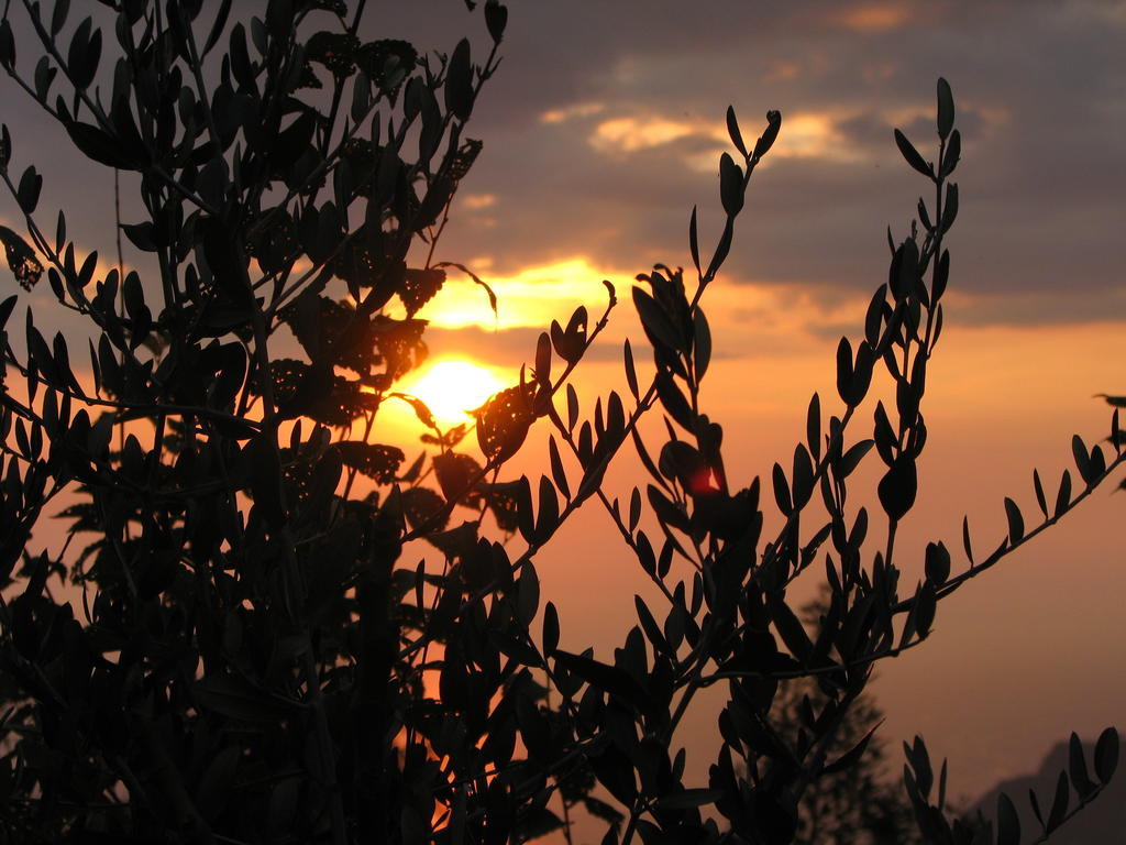 Cilento Bed & Breakfast San Mauro Cilento Eksteriør bilde