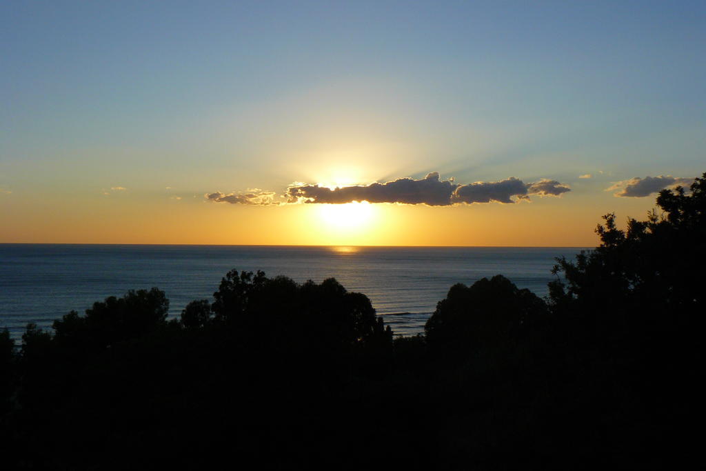 Cilento Bed & Breakfast San Mauro Cilento Eksteriør bilde