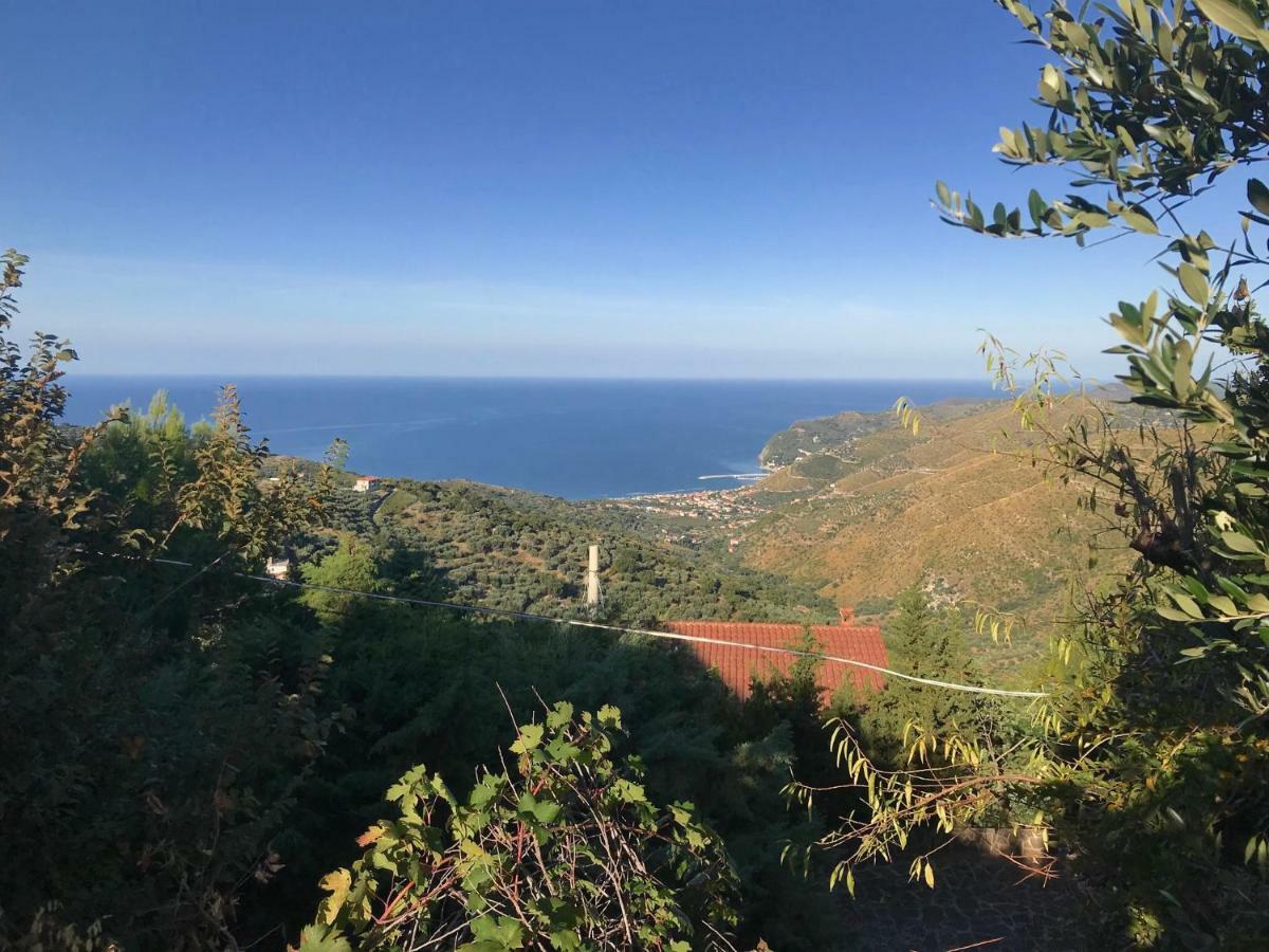 Cilento Bed & Breakfast San Mauro Cilento Eksteriør bilde